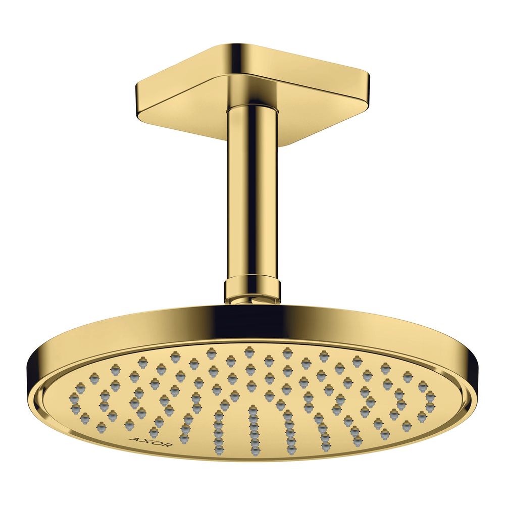 Hansgrohe AXOR ShowerSolutions Kopfbrause 220mm, 5,6l/min, 1jet EcoSmartPlus, Polis... HANSGROHE-35388990 4059625415115 (Abb. 8)