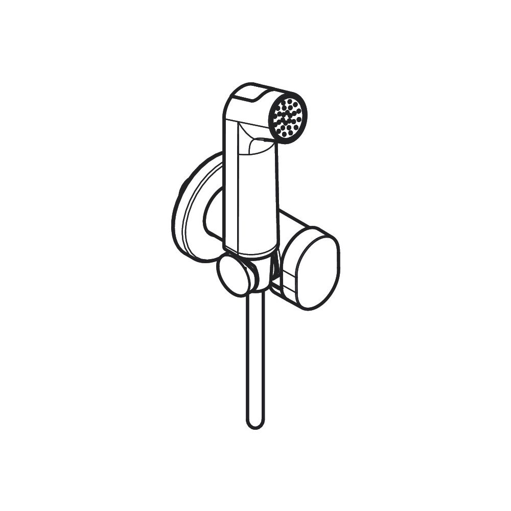 hansgrohe Bidette Handbrause S 1jet EcoSmart 6,2l/min, Mattschwarz für Kaltwasser m... HANSGROHE-29230670 4059625404379 (Abb. 4)