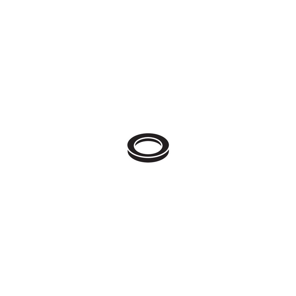 Hansgrohe Schlauchring 12x18x2mm, 98058000... HANSGROHE-98058000 4011097137711 (Abb. 2)