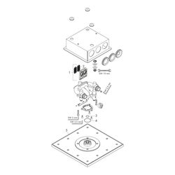 Hansgrohe AXOR ShowerSolutions Kopfbrause, 18,1l/min, 250x250mm, 1jet, Deckenintegr... HANSGROHE-35309000 4059625185322 (Abb. 1)