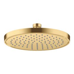 Hansgrohe AXOR ShowerSolutions Kopfbrause 220mm, 7,4l/min, 1jet EcoSmart, Brushed G... HANSGROHE-35383250 4059625406830 (Abb. 1)