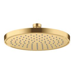 Hansgrohe AXOR ShowerSolutions Kopfbrause 220mm, 5,6l/min, 1jet EcoSmartPlus, Brush... HANSGROHE-35388250 4059625406977 (Abb. 1)