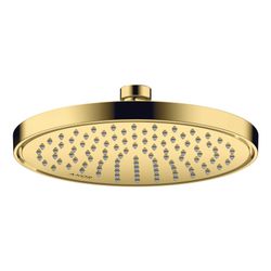 Hansgrohe AXOR ShowerSolutions Kopfbrause 220mm, 5,6l/min, 1jet EcoSmartPlus, Polis... HANSGROHE-35388990 4059625415115 (Abb. 1)