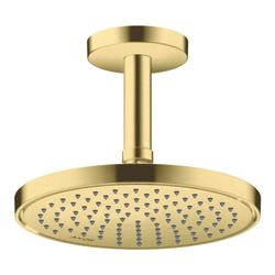 Hansgrohe AXOR ShowerSolutions Kopfbrause 220mm, 5,6l/min, 1jet EcoSmartPlus, Brush... HANSGROHE-35388950 4059625406960 (Abb. 1)