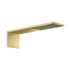 Hansgrohe AXOR ShowerComposition Kopfbrausemodul, 11,2l/min, 110x220mm, 1jet, Brush... HANSGROHE-12592250 4059625499603 (Abb. 1)