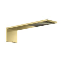 Hansgrohe AXOR ShowerComposition Kopfbrausemodul, 11,2l/min, 110x220mm, 1jet, Brush... HANSGROHE-12592950 4059625499573 (Abb. 1)