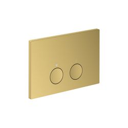 Hansgrohe AXOR FlushPlate Drückerplatte 164x246x12mm für hansgrohe iFrame universal... HANSGROHE-42531990 4059625823507 (Abb. 1)