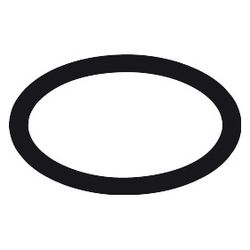 Hansgrohe Schlauchring 40x3mm,2x4mm, 98166000... HANSGROHE-98166000 4011097503738 (Abb. 1)