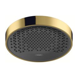 hansgrohe Kopfbrause Rainfinity 250 1jet EcoSmart 9 l/min Deckenmontage gold gebürt... HANSGROHE-26229990 4059625264805 (Abb. 1)