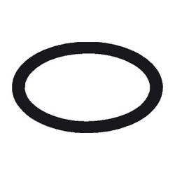 Hansgrohe Schlauchring 40x3mm,2x4mm, 98166000... HANSGROHE-98166000 4011097503738 (Abb. 1)