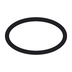 Hansgrohe O-Ring 21x2mm EPDM 70 IRHD, 98205000... HANSGROHE-98205000 4011097514161 (Abb. 1)