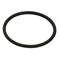 Hansgrohe O-Ring 35x2,5mm, 96006000... HANSGROHE-96006000 4011097256955 (Abb. 1)
