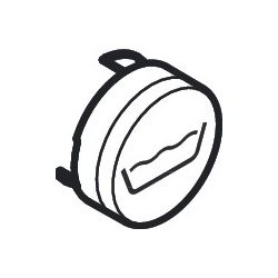 Hansgrohe Druckknopf Symbol Wanne, Edelmatt, 93577880... HANSGROHE-93577880 4059625142653 (Abb. 1)