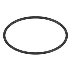 hansgrohe O-Ring 29x3mm, 98371000... HANSGROHE-98371000 4011097716268 (Abb. 1)