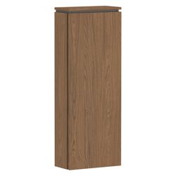 Hansgrohe Xilesa E Halbhochschrank 400x1065x200mm, SoftClose, Türanschlag rechts, E... HANSGROHE-54282550 4059625547397 (Abb. 1)