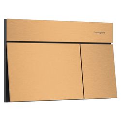Hansgrohe iFrame Element E Betätigungsplatte für 2-Mengen-Spülung, Metall, mechanis... HANSGROHE-66003140 4059625610909 (Abb. 1)