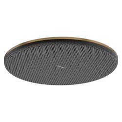 Hansgrohe Raindance Alive S Kopfbrause 300mm, 6,8l/min, 1jet EcoSmart, Brushed Bron... HANSGROHE-24521140 4059625449202 (Abb. 1)