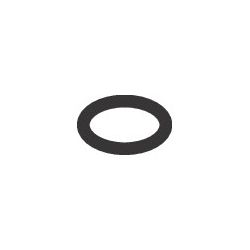 Hansgrohe O-Ring 7x2mm, 98419000... HANSGROHE-98419000 4011097719375 (Abb. 1)