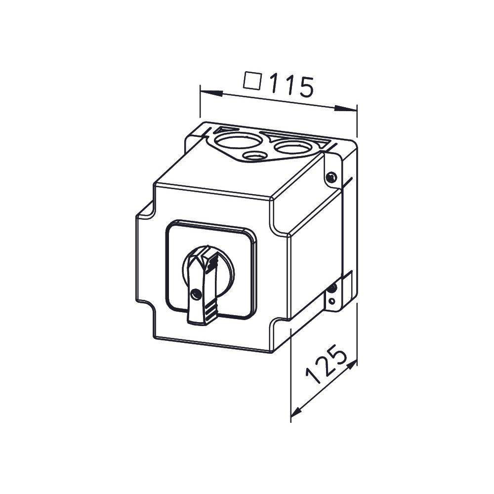 Helios Polum- und Wendeschalter PWGW, IP 65, max. 25A, 400V, 3-PH, für Dahlander-Motoren... HELIOS-01281 4010184012818 (Abb. 3)