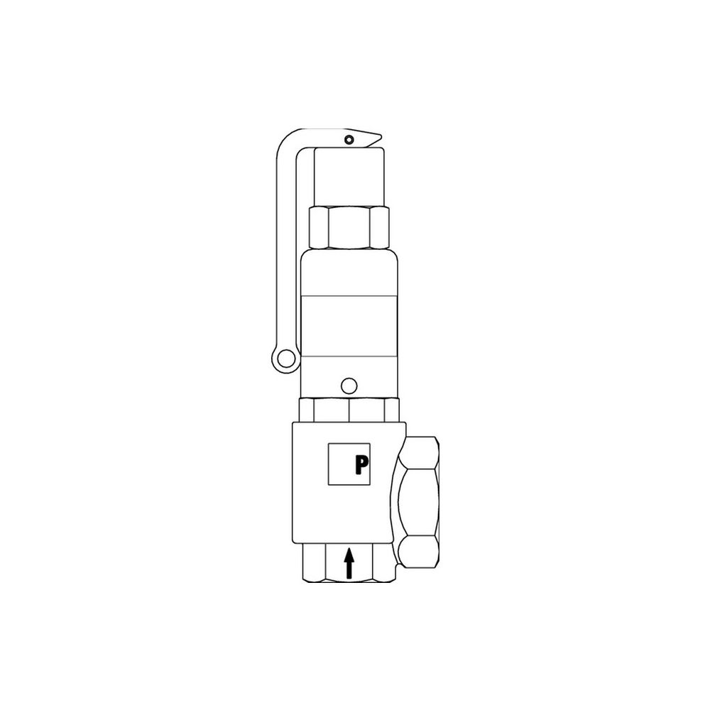 IMI Pneumatex Sicherheitsventil DSV 15-3.0 DGH, Ansprechdruck 3 bar, G 1" x G 1/2", Rotgus... IMI-5361030 7640161632523 (Abb. 6)