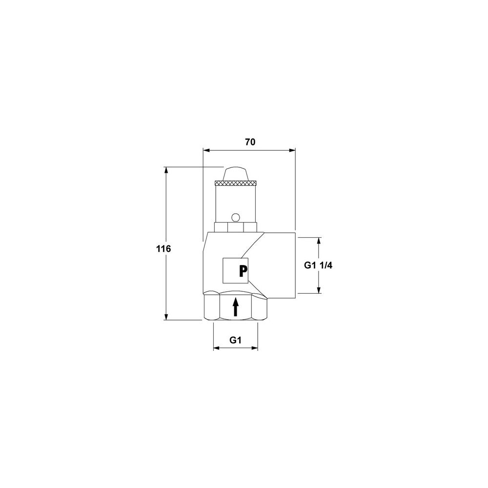 IMI Pneumatex Sicherheitsventil DSV 25-3.0 H, Ansprechdruck 3,0 bar, G 1" x G 1 1/4", Rotg... IMI-5373030 7640148634854 (Abb. 5)