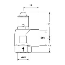 IMI Pneumatex Sicherheitsventil DSV 15-8.0 F, Ansprechdruck 8 bar, G 1/2" x G 1/2", fü... IMI-30105120480 7640161633377 (Abb. 1)