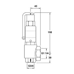 IMI Pneumatex Sicherheitsventil DSV 20-7.0 DGH, Ansprechdruck 7 bar, G 1 1/4" x G 3/4", Ro... IMI-5362070 7640161632769 (Abb. 1)