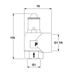 IMI Pneumatex Sicherheitsventil DSV 25-3.0 H, Ansprechdruck 3,0 bar, G 1" x G 1 1/4", Rotg... IMI-5373030 7640148634854 (Abb. 1)