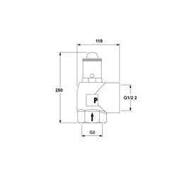 IMI Pneumatex Sicherheitsventil DSV 50-3.0 H, Ansprechdruck 3,0 bar, G 2" x G 2 1/2", Rotg... IMI-5376030 7640148634915 (Abb. 1)