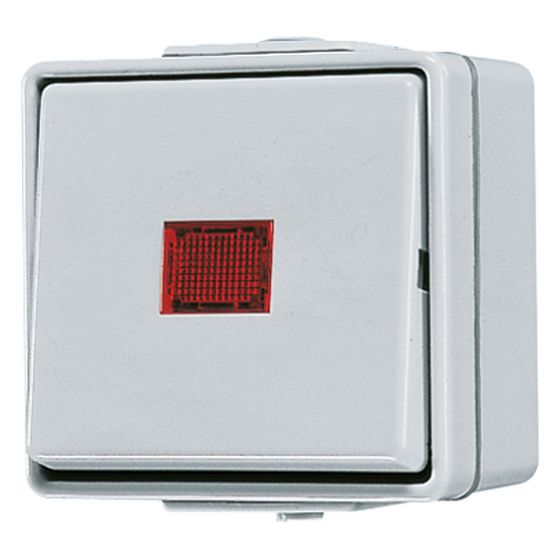 Jung Wipp-Kontrollschalter WG 600 606KOW, 10A 250V, Kunststoff, Grau