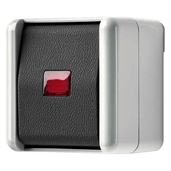 Jung Wipp-Kontrollschalter WG 800 806KOW, 10 AX 250 V, Kunststoff, Grau/Anthrazit