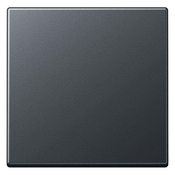 Jung Wippe Serie A, 55x55mm, Thermoplast lackiert, Anthrazit matt