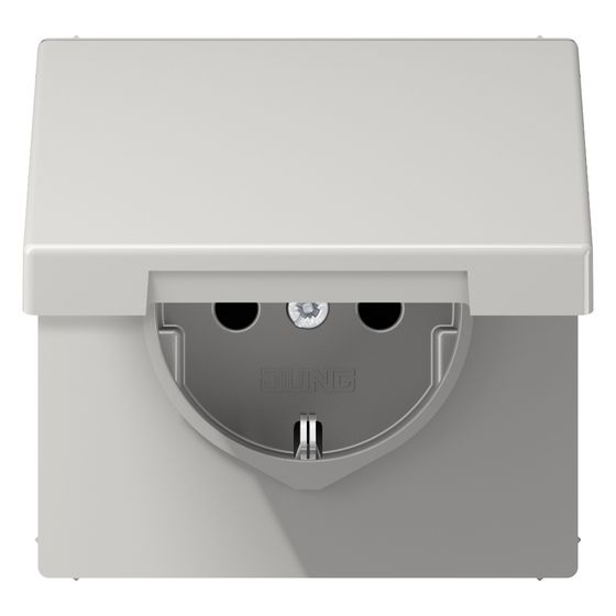 Jung Schutzkontakt-Steckdose LS LS1520KLLG, 16A 250V, Duroplast, Lichtgrau