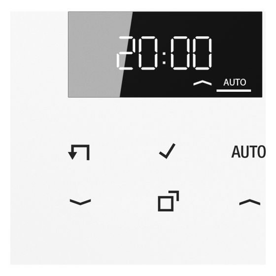 Jung Timer-Display LS LS1750DWW, Unterputz, Glas, Alpinweiß