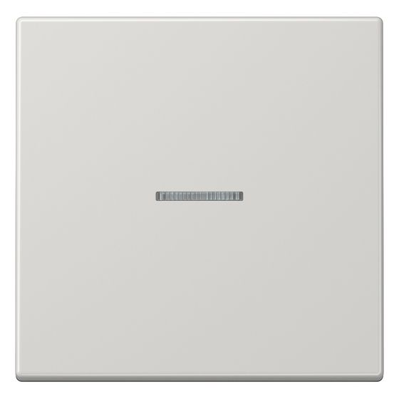 Jung Wippe LS, mit Lichtleiter, 70x70mm, Duroplast, Lichtgrau