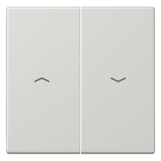 Jung Wippe LS LS995PLG, 70x70mm, Duroplast, Lichtgrau