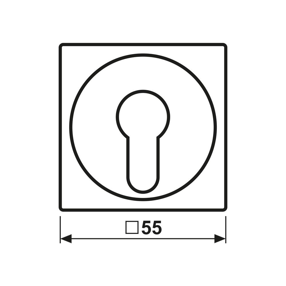 Jung Abdeckung für Schlüsselschalter Serie AS/A, 55x55mm, Thermoplast, Alpinweiß... JUNGE-A528PLWW 4011377038257 (Abb. 2)