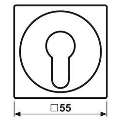 Jung Abdeckung für Schlüsselschalter Serie AS/A, 55x55mm, Thermoplast, Alpinweiß... JUNGE-A528PLWW 4011377038257 (Abb. 1)