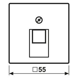Jung Abdeckung für IAE/UAE-Anschlussdosen Serie AS/A, 55x55mm, Duroplast, Alpinweiß... JUNGE-A569-1PLUAWW 4011377039650 (Abb. 1)