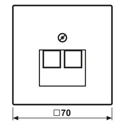 Jung Abdeckung für IAE/UAE-Anschlussdosen LS 969-2 UA LG, 2x8-polig, Thermoplast, Li... JUNGE-LS969-2UALG 4011377948402 (Abb. 1)