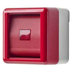 Jung Abdeckung mit Glasscheibe WG 800, 53x68,5mm, Thermoplast, Rot... JUNGE-860WGLRT 4011377665002 (Abb. 1)