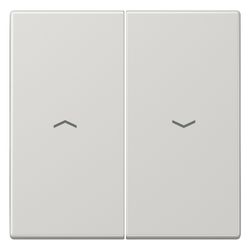 Jung Wippe LS LS995PLG, 70x70mm, Duroplast, Lichtgrau... JUNGE-LS995PLG 4011377945203 (Abb. 1)