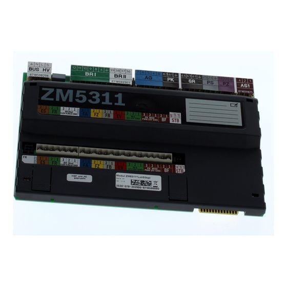 BOSCH Modul ZM5311 S03 Fremdbrenner, 8718598843