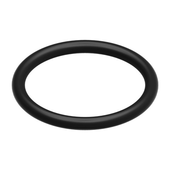 BOSCH Ersatzteil TTNR: 87002051350 O-Ring (10x)