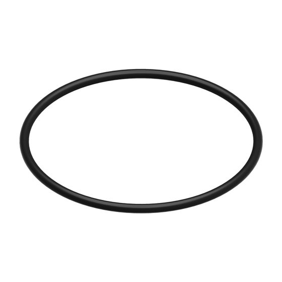 BOSCH Ersatzteil TTNR: 87228801740 O-Ring (10x)