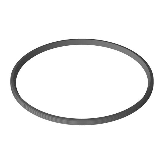 Bosch Lippendichtung DN 250, 8737716946