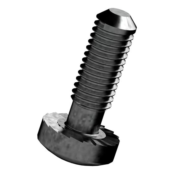 BOSCH Schraube M5x15mm, 10 Stück, 8737604201