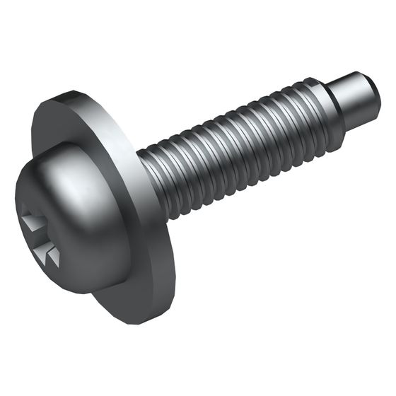 Bosch Schraube, 87167641840