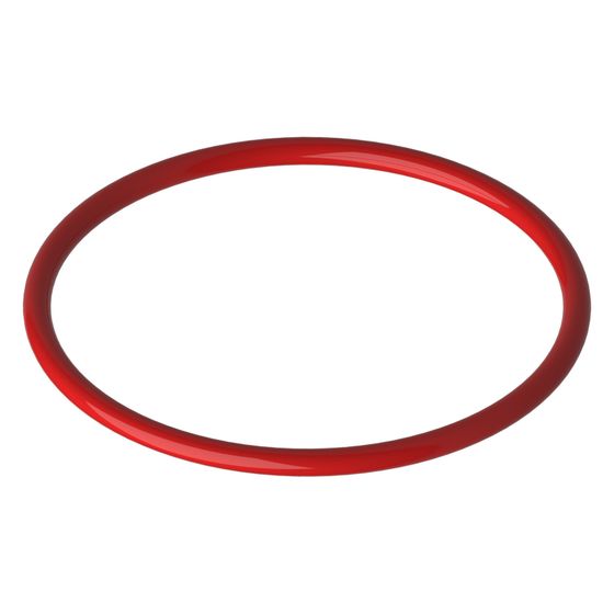 Bosch Lippendichtung DN 110, 8755001611