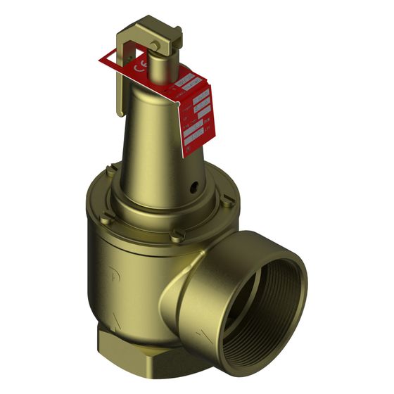 Bosch Sicherheitsventil 2